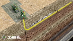 The Z-System rod technology from Ziebel provides a “picture” from all depths in the wellbore, simultaneously and in real time. This will help to enhance understanding of the wellbore and reservoir.