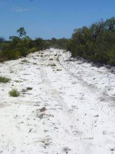 A deserted access road that will lead to the rig site on Warrego Energy’s Block 469 shows the remoteness of the location. The operator said rig clubs could be possible to help operators share mobilization costs.