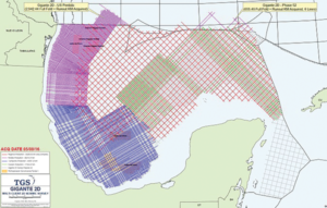 TGS and Schlumberger are commencing surveys in 306 blocks in the US GOM. Final processed data is expected to be available by early 2018.