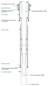 The lower completion consists of a float shoe with a flat-bladed nose, alternating joints of pre-perforated, frangible disk plug, and a 7-in. x 9 5/8-in. liner top packer. 