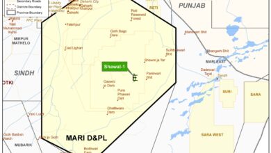 MariEnergies announces an oil discovery at exploration well shawal-1