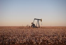 Ecopetrol, OXY extend development plan in Permian Basin