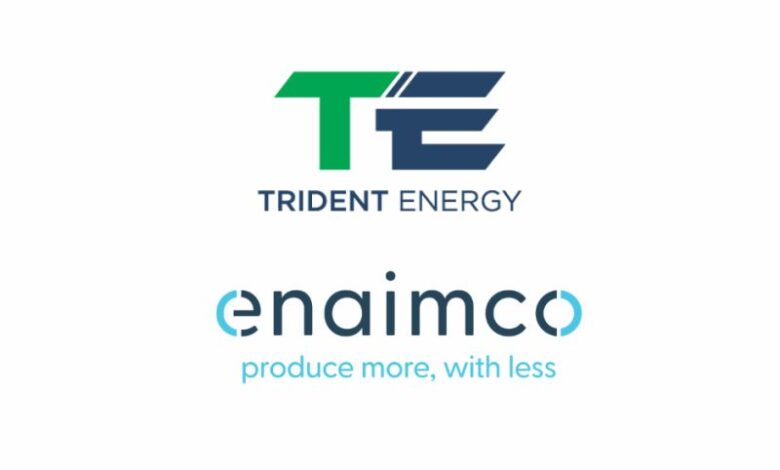 Enaimco to provide digital twin for Trident subsea assets in Equatorial Guinea