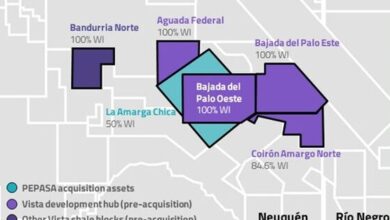 Vista announces acquisition of Petronas Argentina