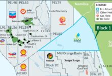 Eco Atlantic secures exploration rights, 75% interest in Orange Basin Block 1