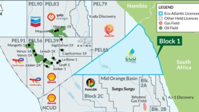 Eco Atlantic secures exploration rights, 75% interest in Orange Basin Block 1