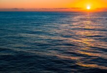 Petrobras reports that it has acquired ten blocks in the Foz do Amazonas Basin and three blocks in the Pelotas Basin in the 5th Permanent Concession Offer Cycle of the National Agency of Petroleum, Natural Gas and Biofuels (ANP).