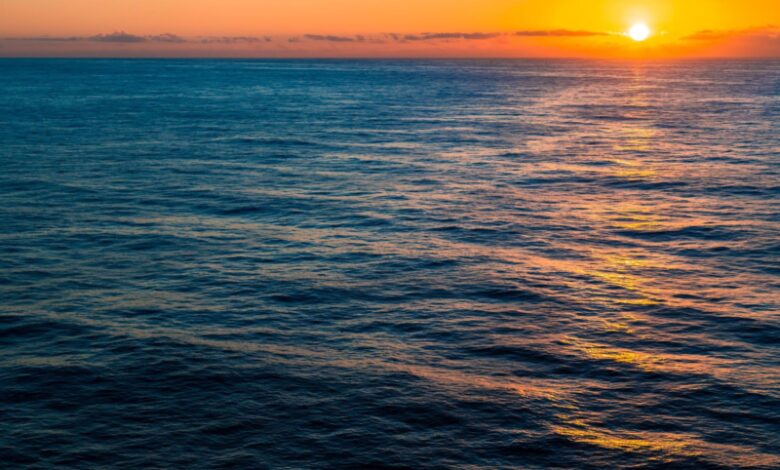 Petrobras reports that it has acquired ten blocks in the Foz do Amazonas Basin and three blocks in the Pelotas Basin in the 5th Permanent Concession Offer Cycle of the National Agency of Petroleum, Natural Gas and Biofuels (ANP).
