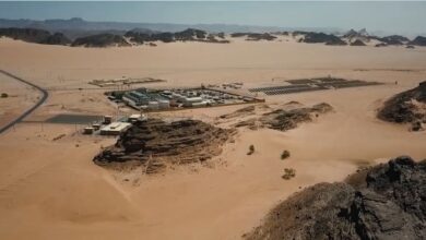 TotalEnergies, Qatar Energy granted new exploration license in Algeria
