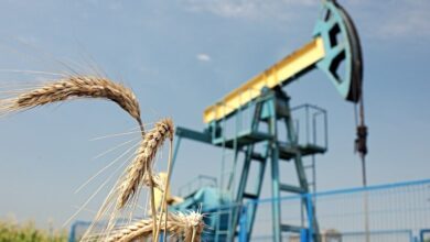 OMV makes new natural gas discovery in Spineni, Romania