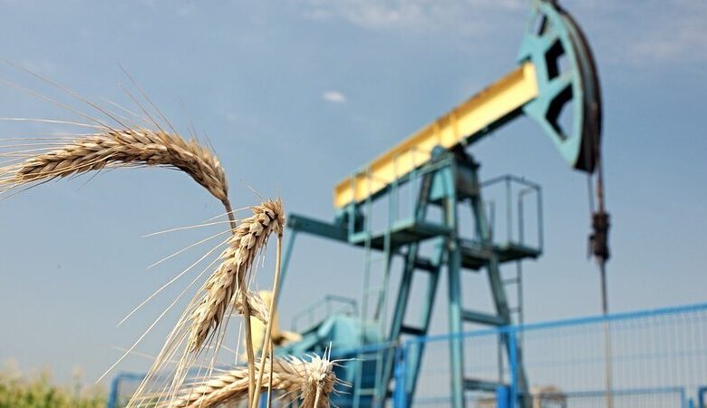 OMV makes new natural gas discovery in Spineni, Romania
