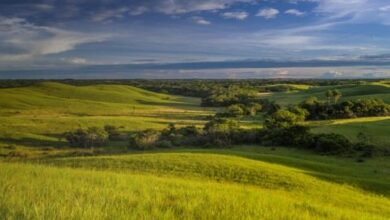 Arrow abandons Mateguafa Oeste-1, moves rig to Mateguafa Attic