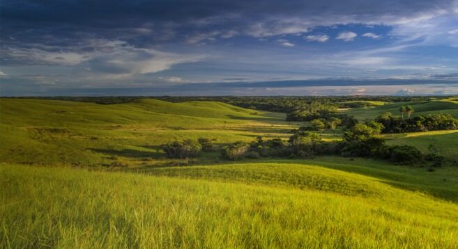 Arrow brings Mateguafa-5 onstream after drilling in Colombia’s Llanos Basin