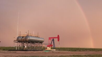 Petro Matad brings Gazelle-1 well onstream in Mongolia