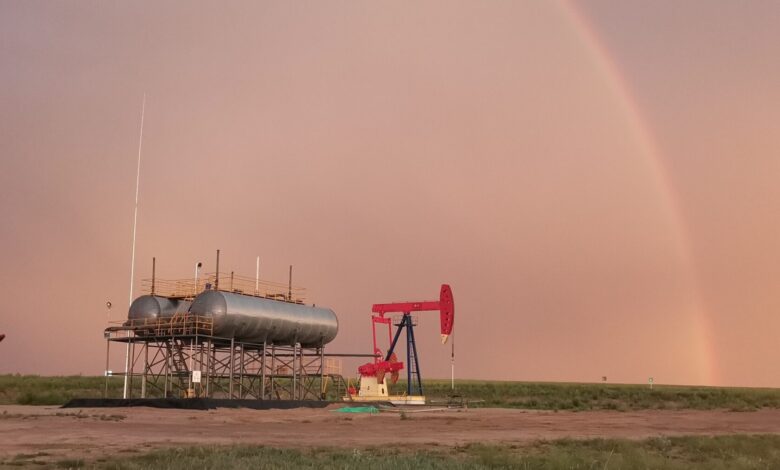 Petro Matad brings Gazelle-1 well onstream in Mongolia