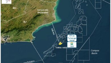 Petrobras discovers oil in Sudoeste de Tartaruga Verde block