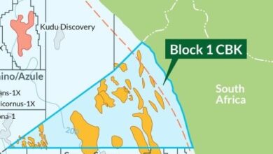 Eco Atlantic, Navitas align on offshore Guyana and South Africa blocks