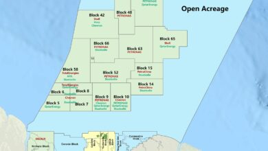 PETRONAS completes drilling Caiman-1 well
