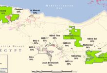 Capricorn sees positive exploration results in Egypt