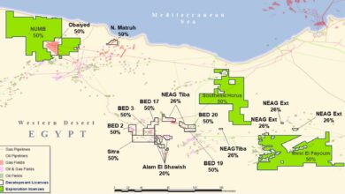 Capricorn sees positive exploration results in Egypt