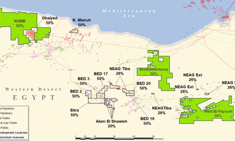 Capricorn sees positive exploration results in Egypt