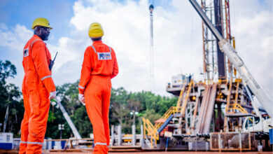 Assala makes hydrocarbon discovery at Magoga-A in Gabon