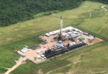 GeoPark's Perico-2, Currucutu-3 wells add to Colombia output