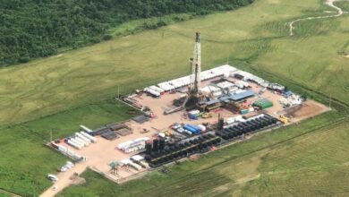GeoPark's Perico-2, Currucutu-3 wells add to Colombia output