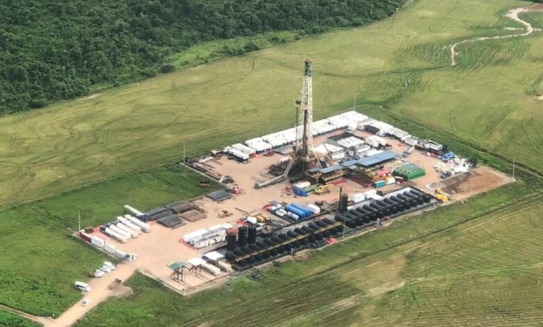 GeoPark's Perico-2, Currucutu-3 wells add to Colombia output