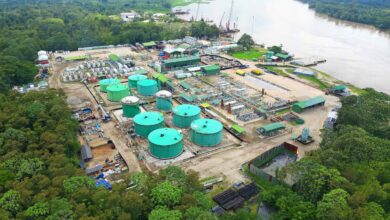 Halliburton to drill eight wells for PetroTal in Peru