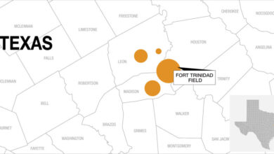 Empire Petroleum announced the successful re-entry and subsurface evaluation of the Wakefield-Harrison GU B #1 well in the Fort Trinidad field, Madison County, Texas, on 16 August 2026.