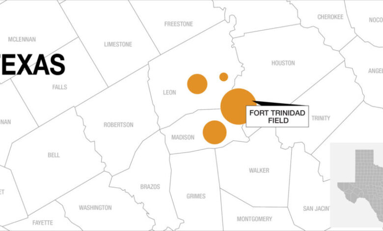 Empire Petroleum announced the successful re-entry and subsurface evaluation of the Wakefield-Harrison GU B #1 well in the Fort Trinidad field, Madison County, Texas, on 16 August 2026.